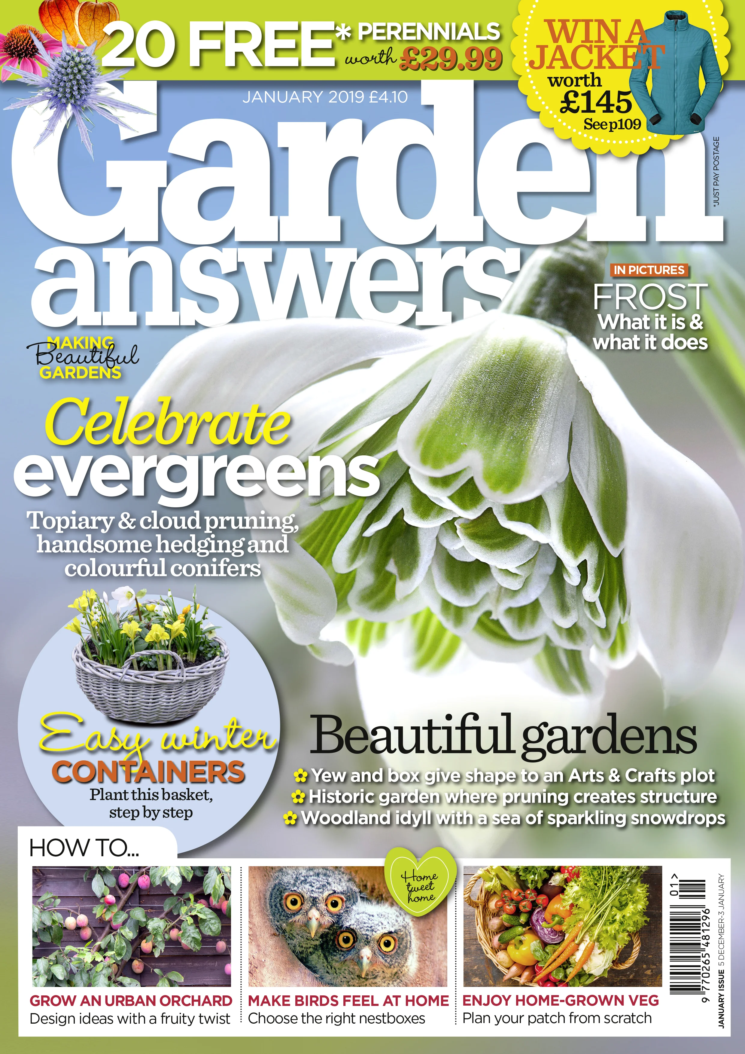 Jan 2019 cover.jpg