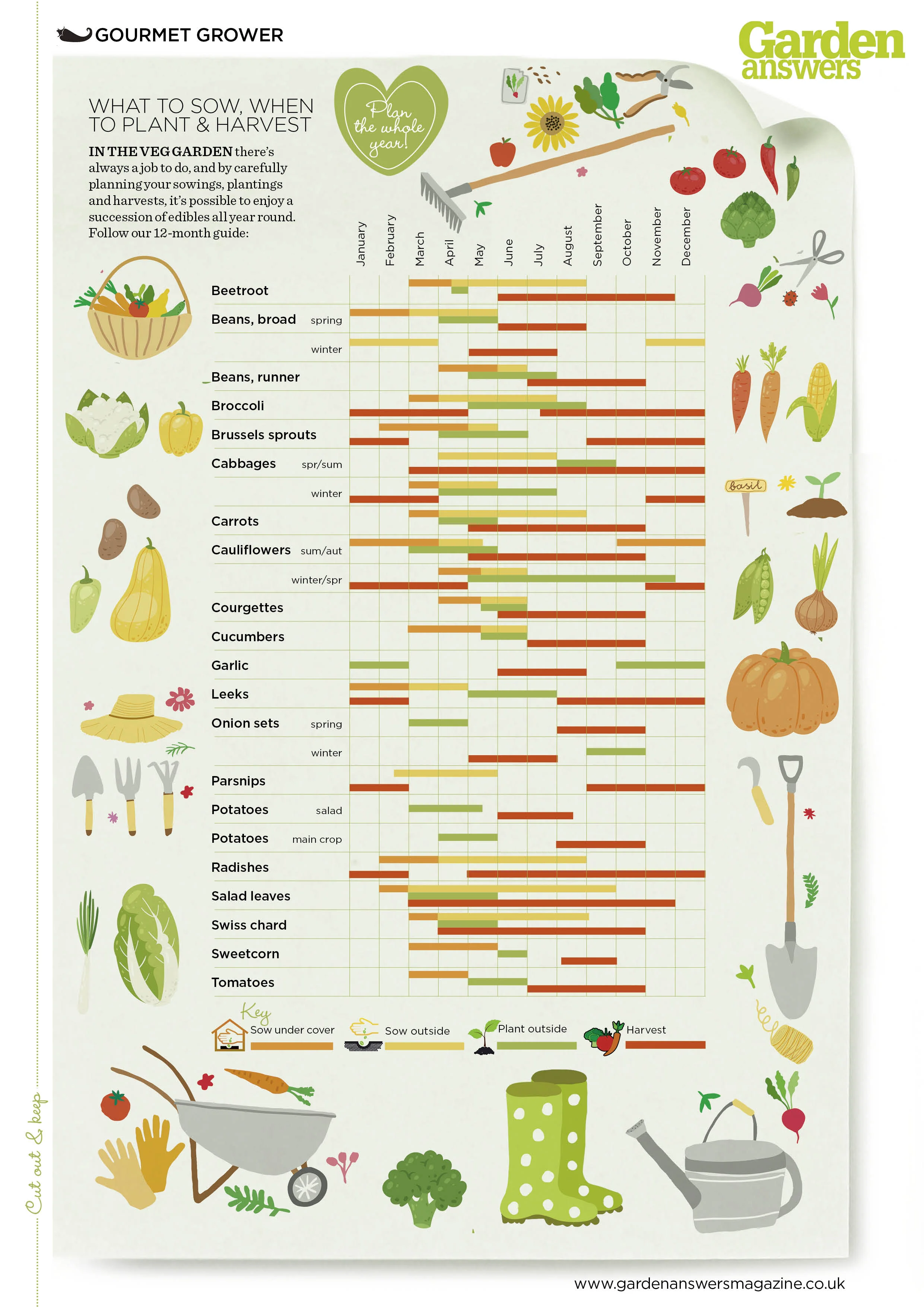 Veg Seed chart.jpg