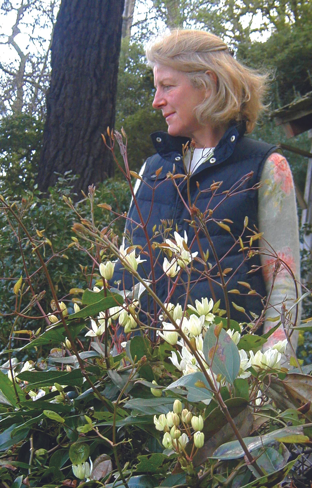 Anne Chambers, owner of Kiftsgate Court