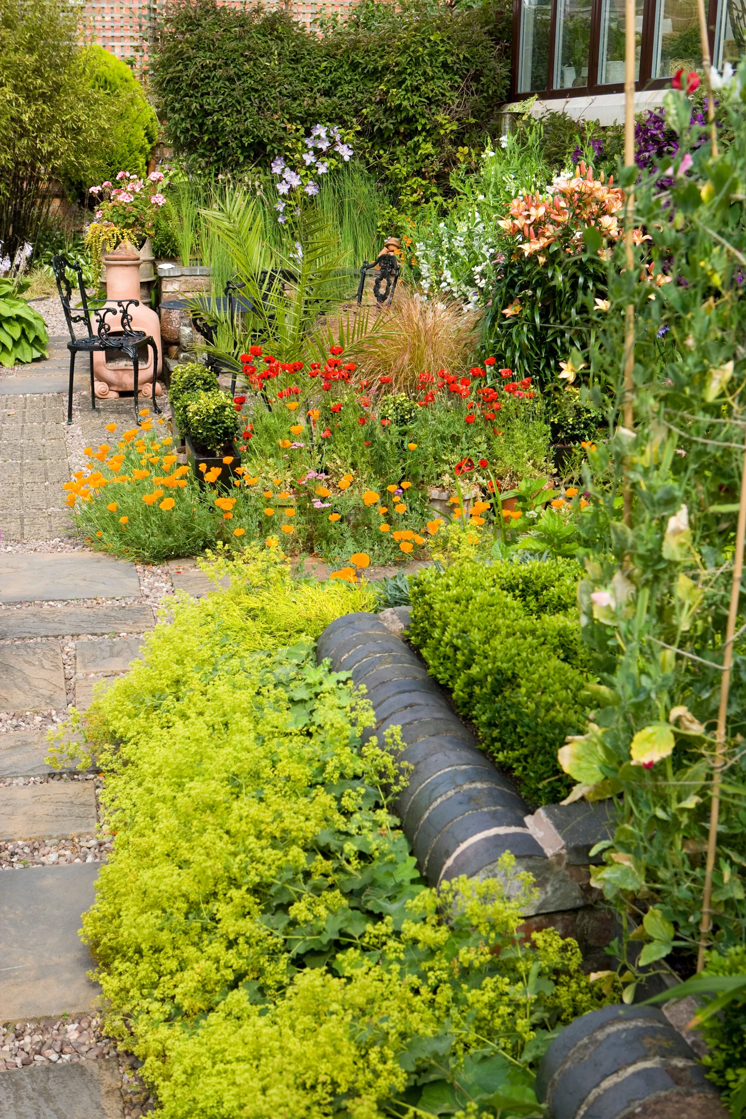 Alchemilla mollis , frothy acid-green flowers in foreground