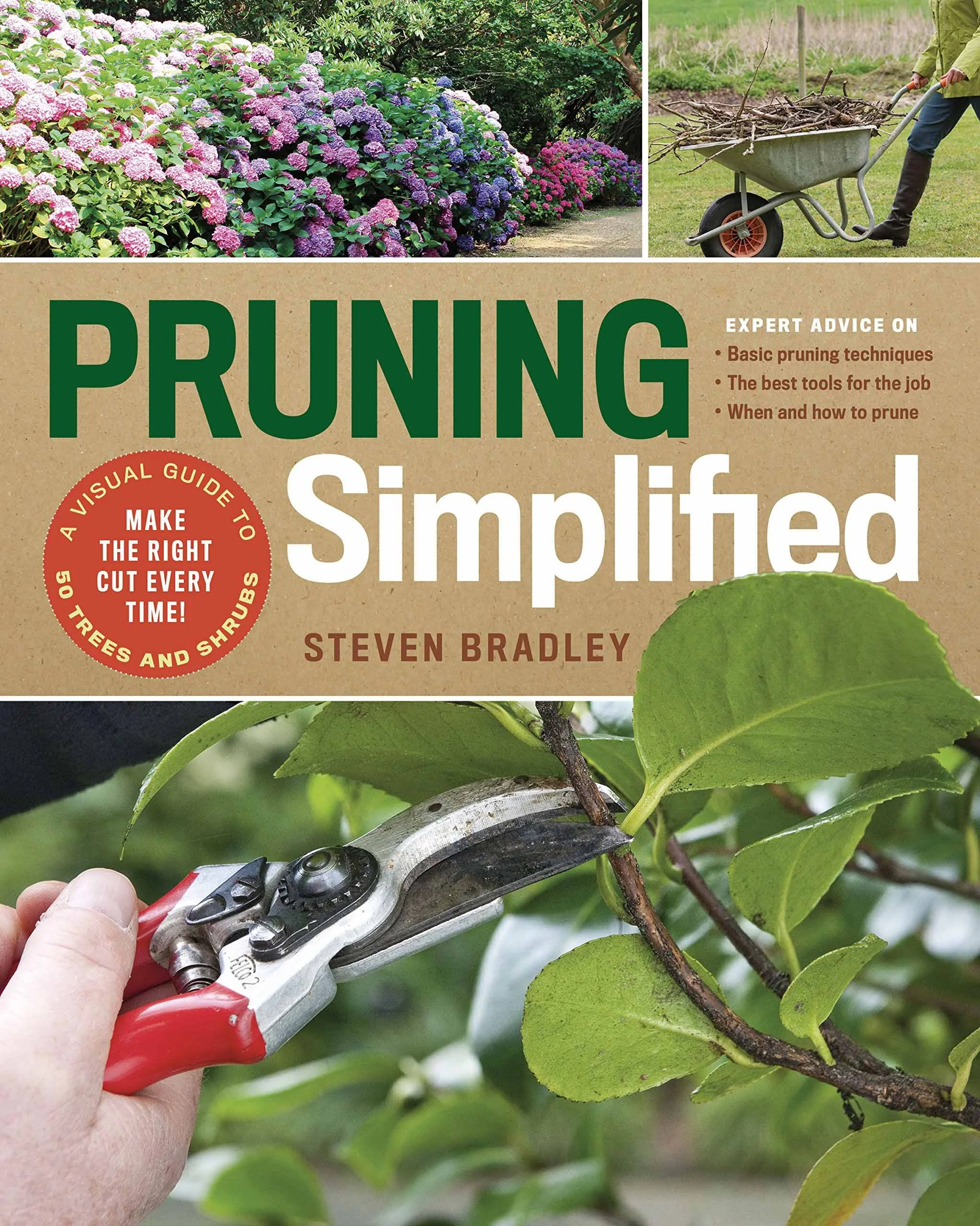 pruning_simplified.jpg