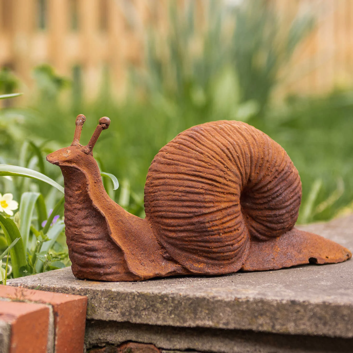 RUSTY-GARDEN-SNAIL.jpg