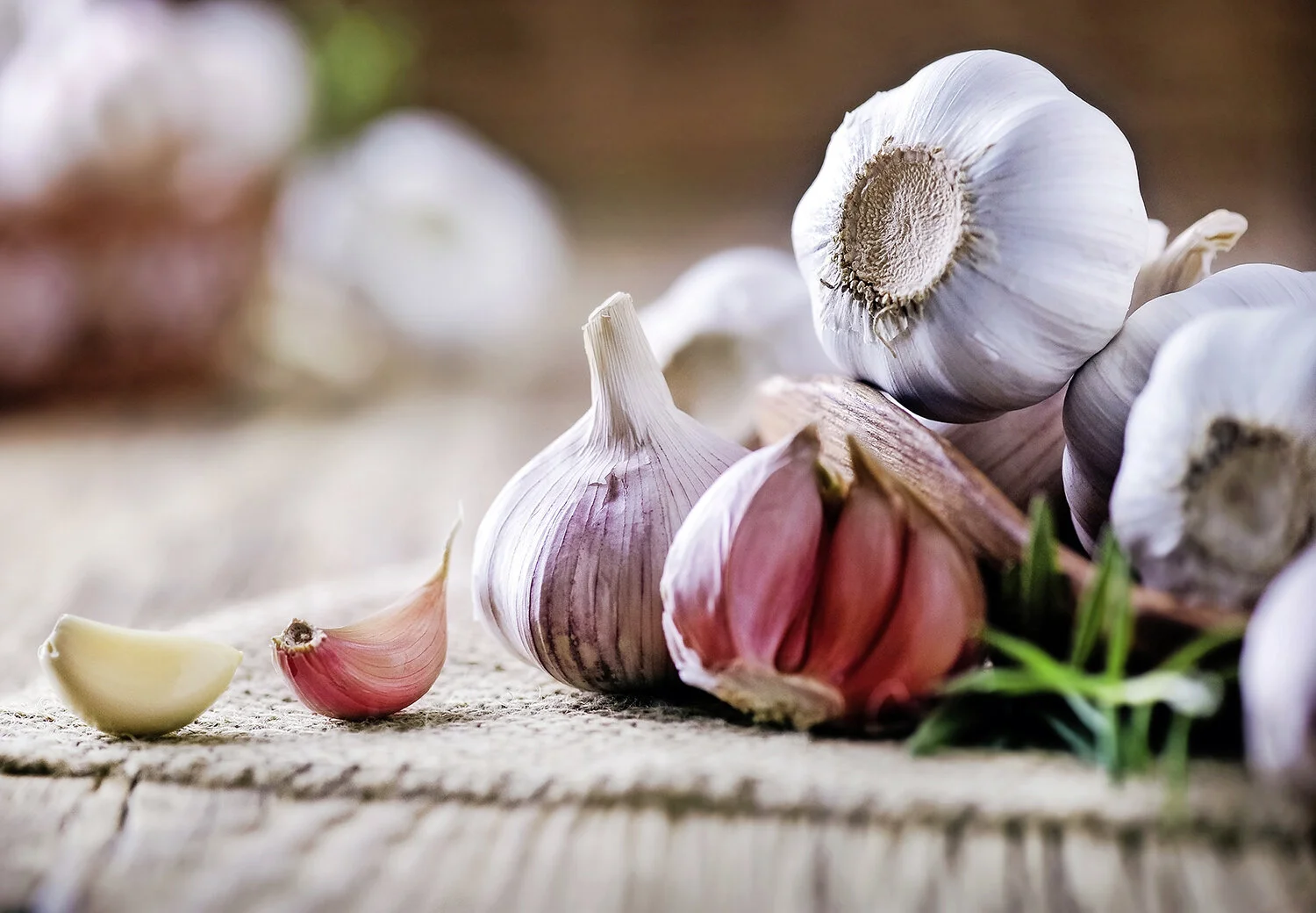 Grow tasty garlic bulbs