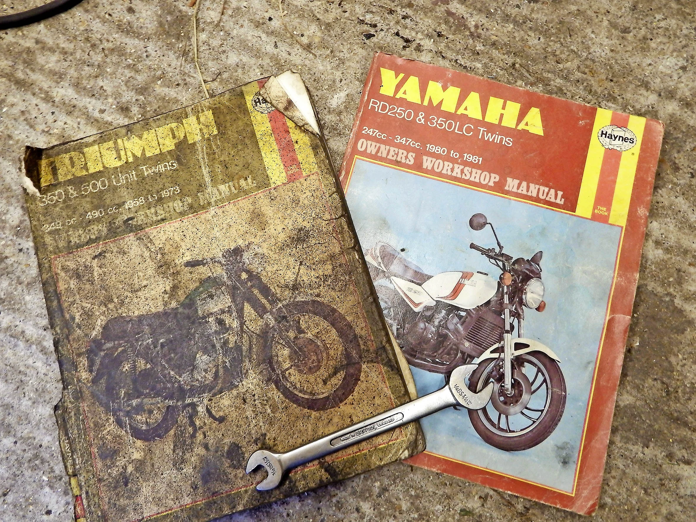 ‘Is there some significance to the relative condition of these two manuals?’