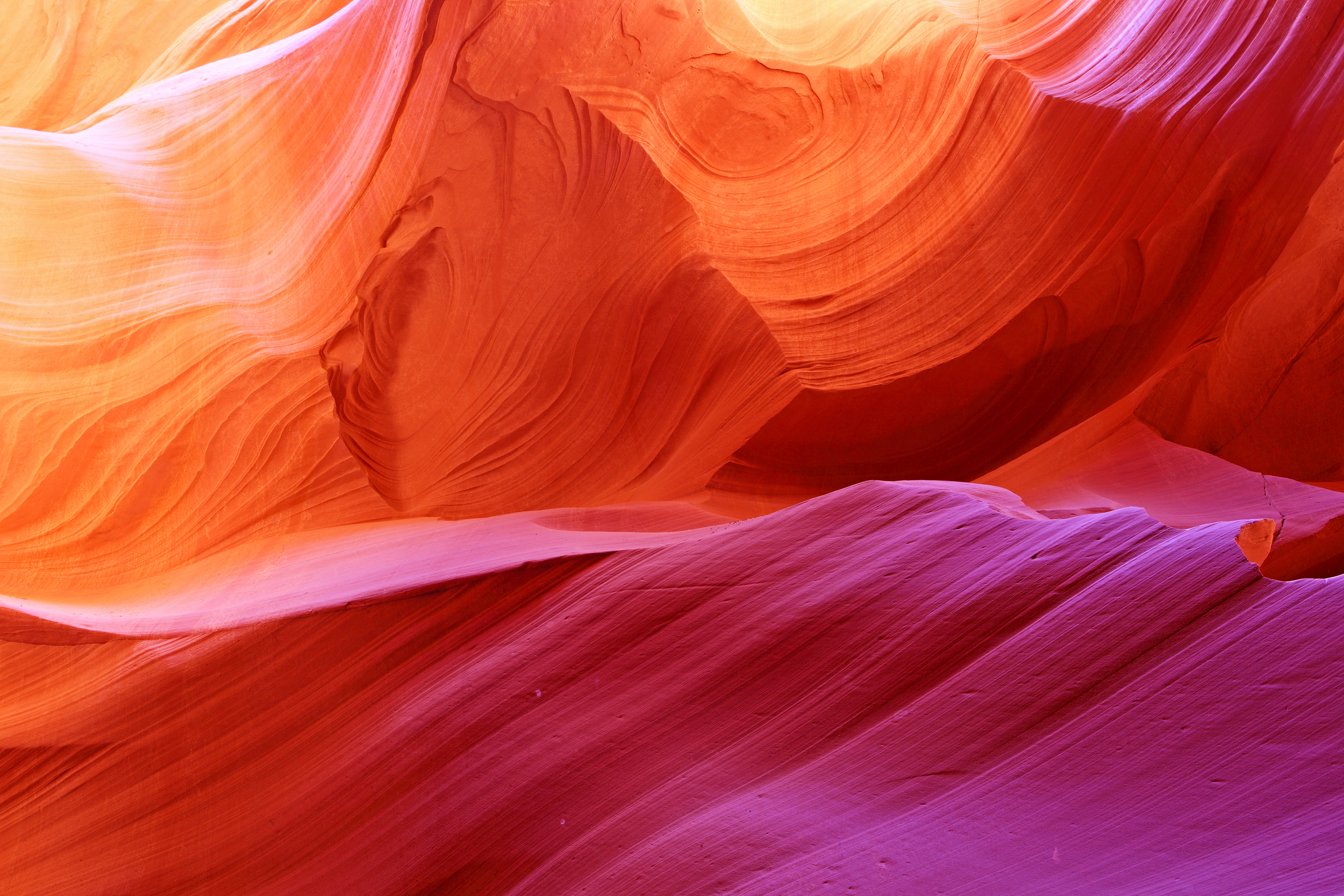 shutterstock_65596858.jpg