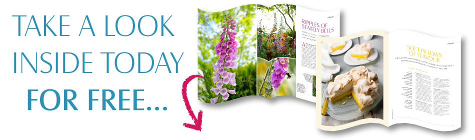 mini-mag-bws-header.jpg