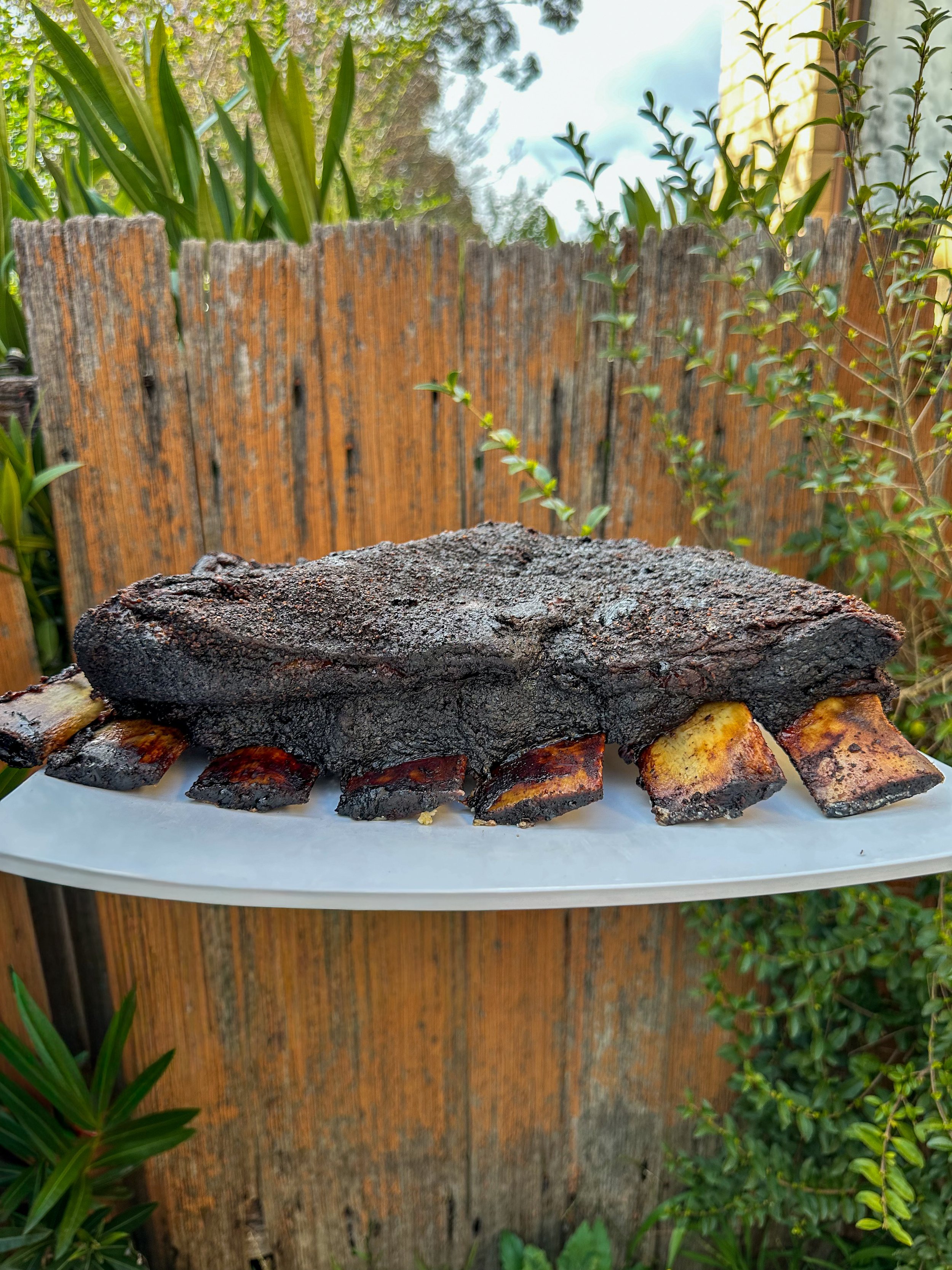 Beef Ribs