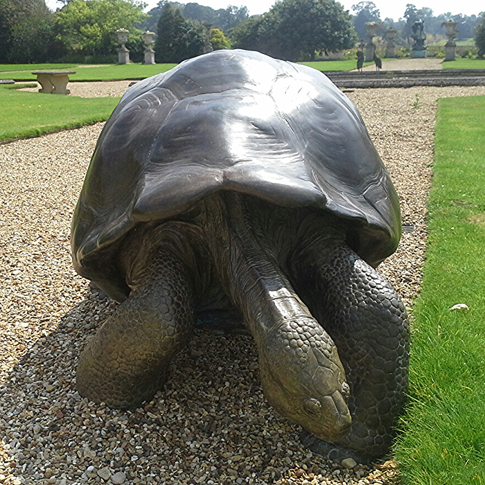 LIFE-SIZE GALAPAGOS TORTOISE I