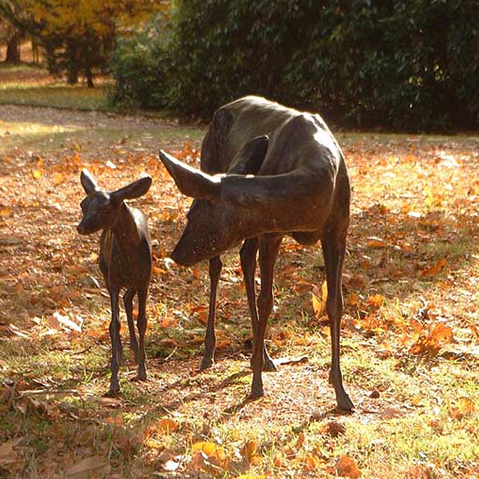 roe-deer-and-fawn_700x700.png