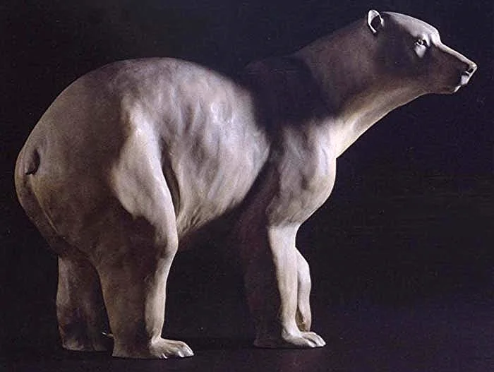 POLAR BEAR