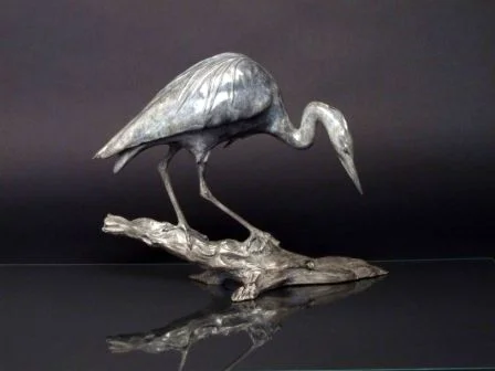 Grey Heron