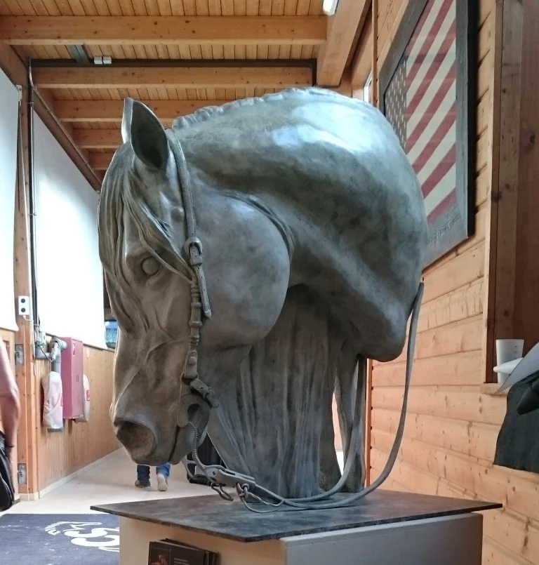 Reining Horse head.jpg