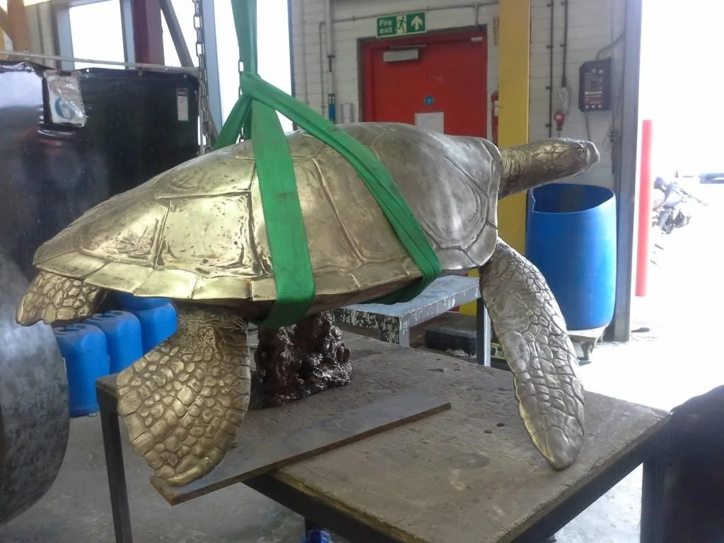 Hawksbill bronze in sling.jpg
