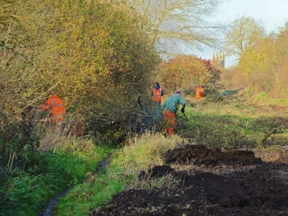 Swindon & Cricklade Railway volunteers clearing the trackbed of the railway’s northern extension. Visible in the background is the tower of St Sampson’s Church, marking their goal of Cricklade. DAVE HERBERT
