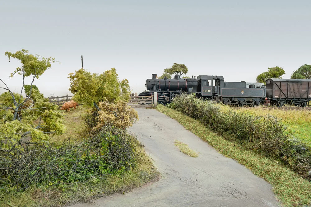 171006 Diddington DSC_8062_preview.jpg