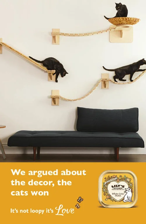 LILYSKITCHEN7.jpg