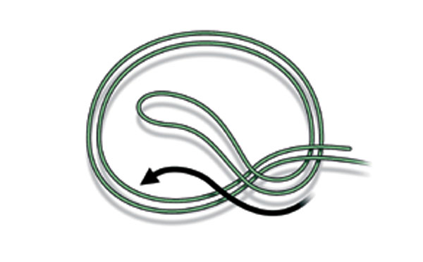 Double overhand knot - Wikipedia