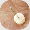 5.gif