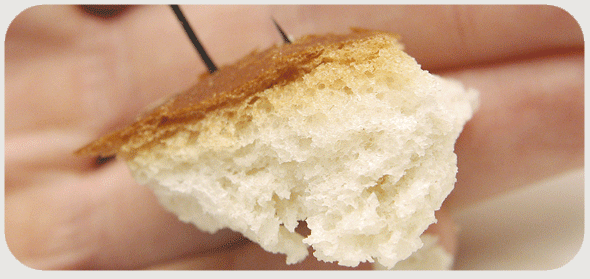 crust.gif