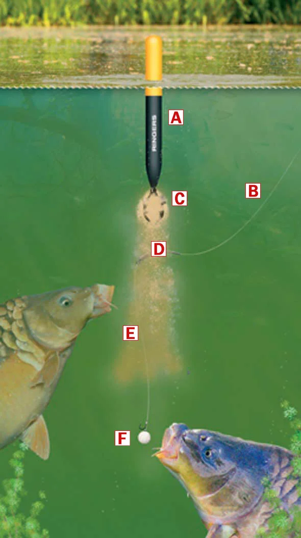 Float Ledgering Locslide Floats Float Ledger Rig التيسير لخدمات