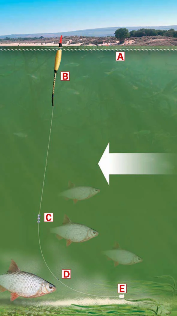 How to float fish a river with a Crowquill Avon trotting rig — Angling