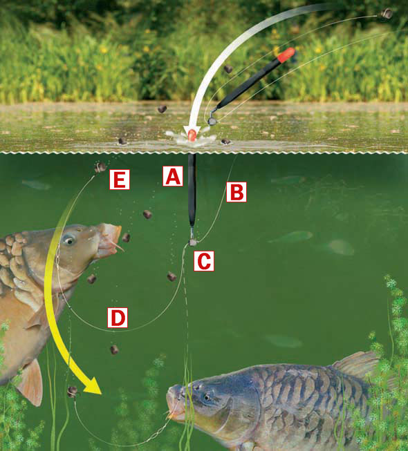 maggot straight feeder fishing float method feeder coarse canal carp river 