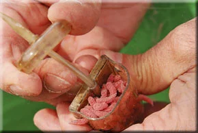 7. Fill the feeder but don’t pack it too tight. Leave a gap so the maggots can wriggle better and exit the feeder quicker