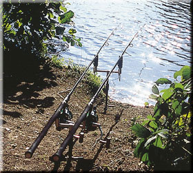 How to catch carp in snaggy waters — Angling Times