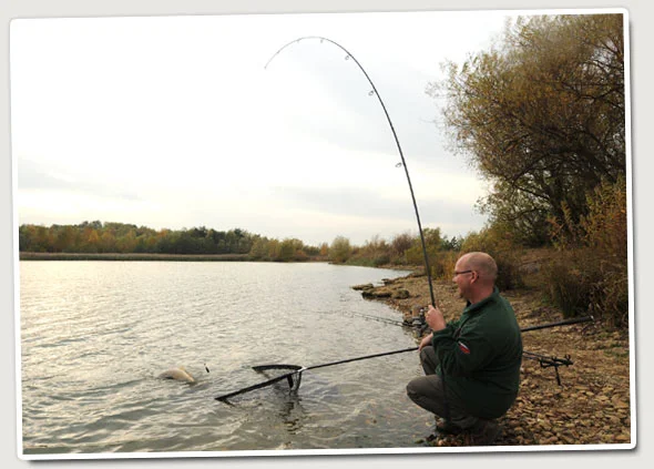 Carp-rod-action.jpg