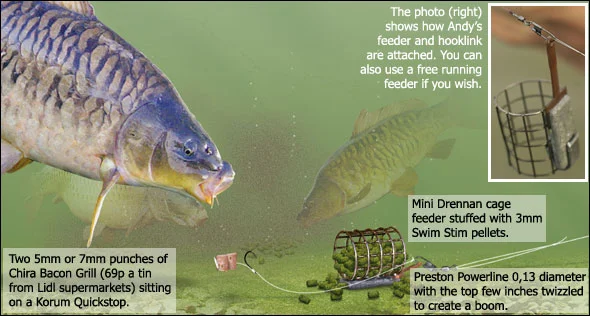Andy Findlay S Top Winter Fishing Tips Angling Times