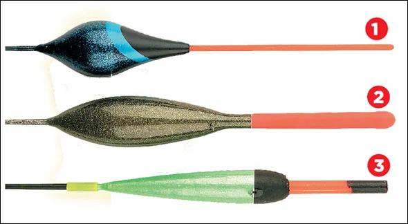 bristles.jpg