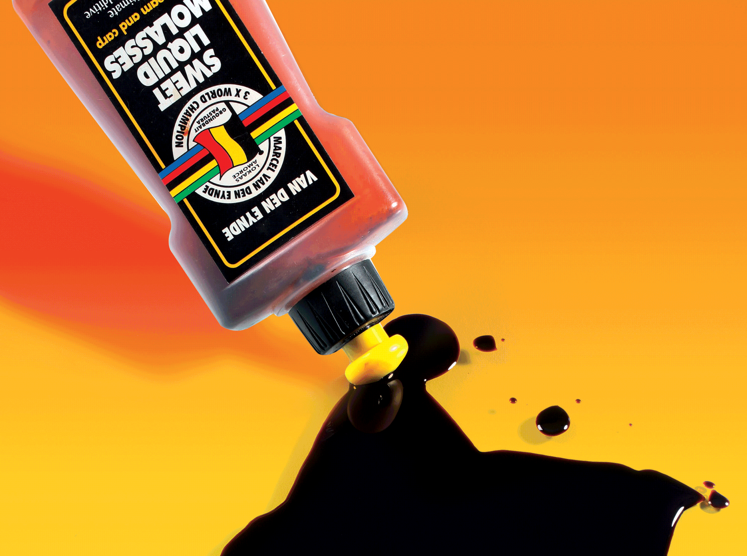 Main-image.gif