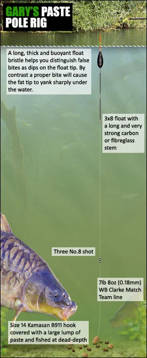 rig.jpg