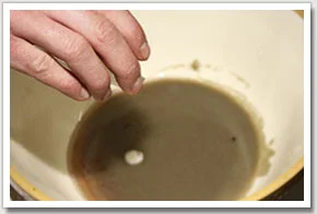 6. The milt and eggs are mixed together and fertilisation of the eggs begins.