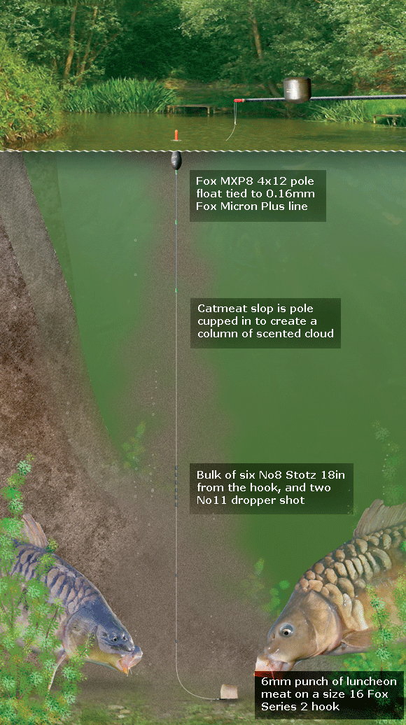 Island-margin-swim-rig.gif