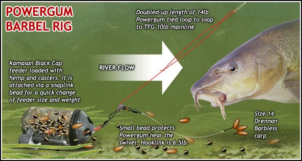 Best Fishing Loot Ark Ascendant Fishing Rod Barbel Baits And Rigs 2025