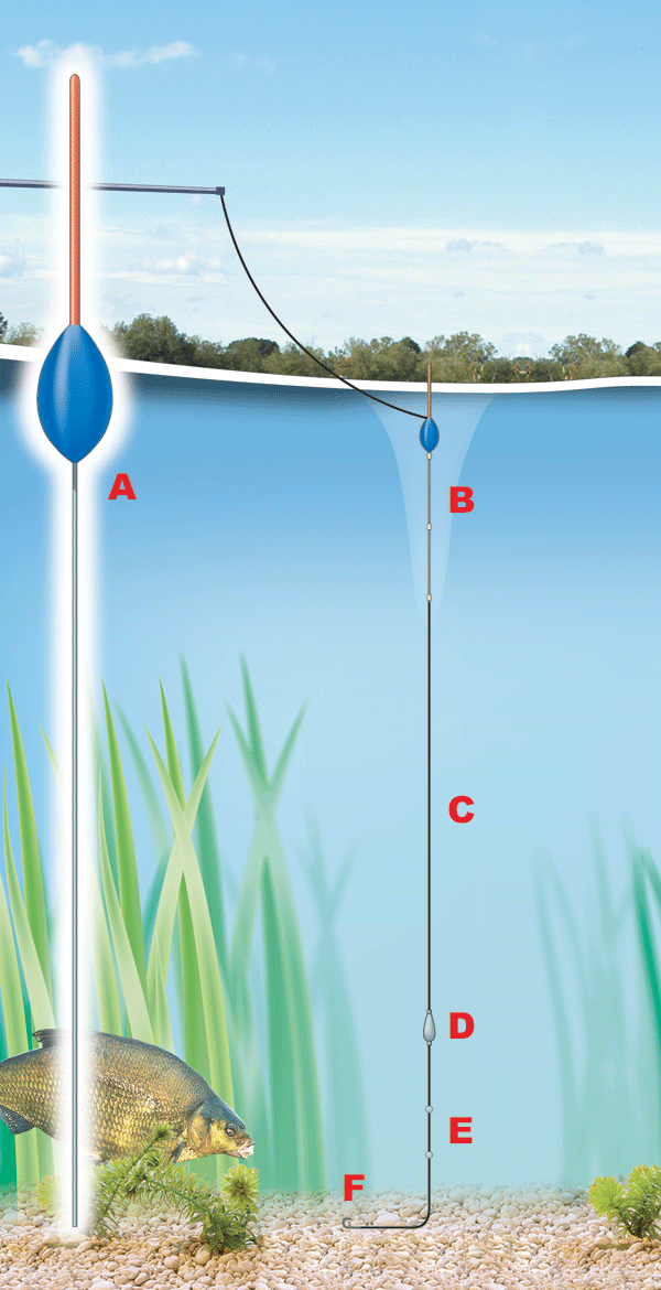 The best pole rig for fishing with chopped worms — Angling Times