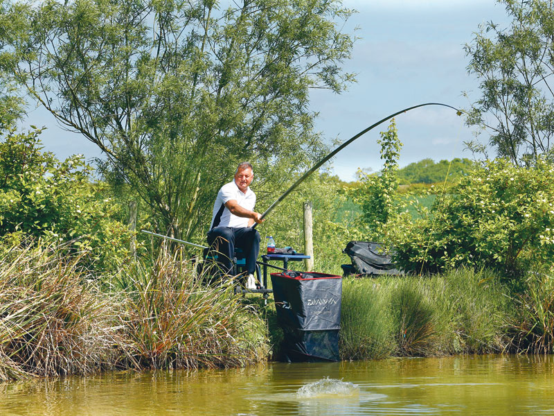 daiwa margin pole