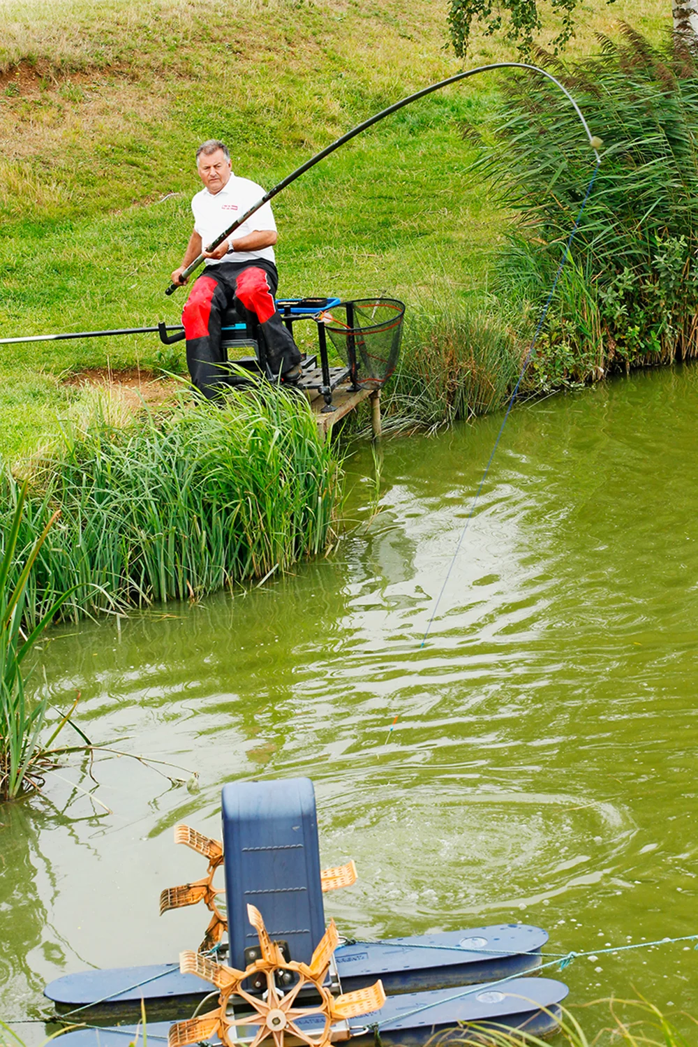 daiwa yank n bank pole