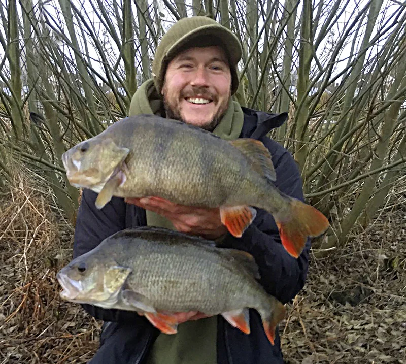 Two huge perch caught by angler fishing Norfolk river — Angling Times