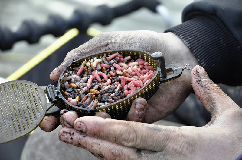 A bait dropper is a very accurate feeding device.