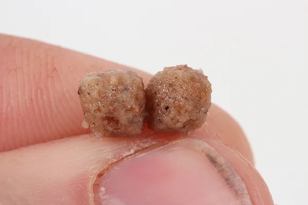 Step 4) Drain the pellets off and within a couple of minutes they’ll develop a rubbery coating