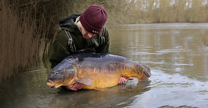 terry hearn bottom bait rig
