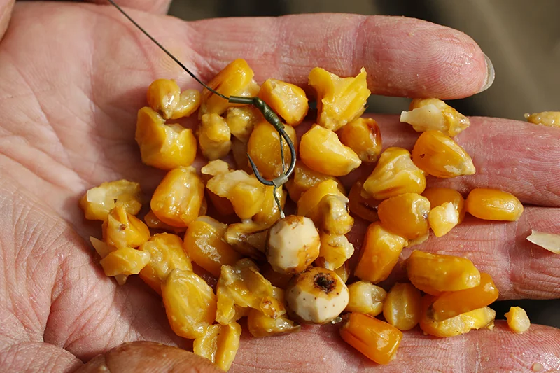 terry hearn bottom bait rig