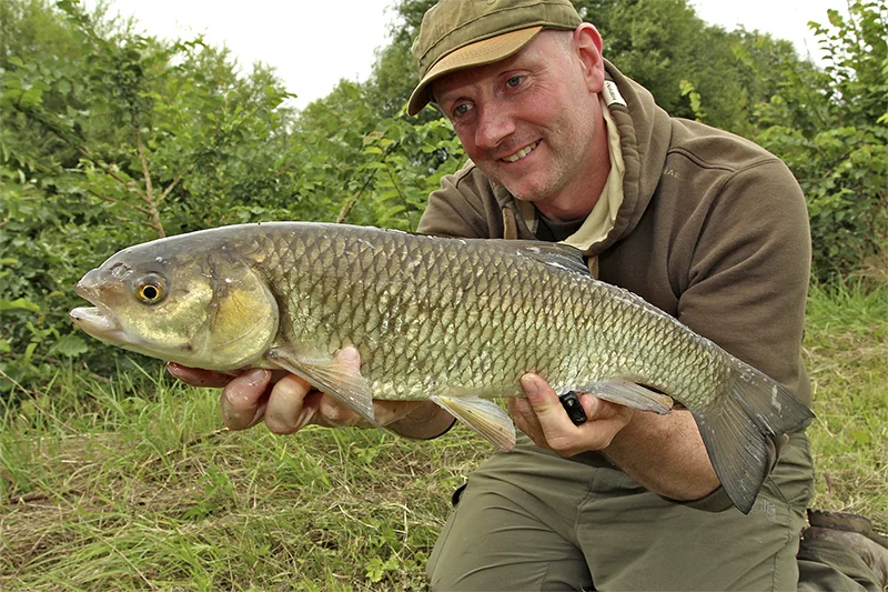 3. CHUB ON PELLETS.jpg