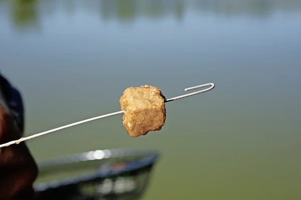 Catmeat is usually smells awful to us, but fish love it. Grab a chunk and push a bairting needle right through the middle and out the other side