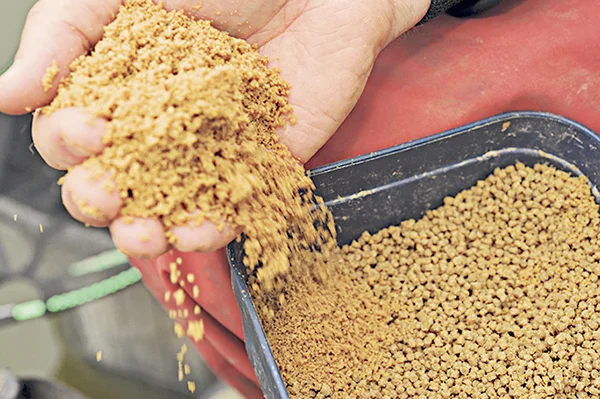 Q2. GB and pellets.jpg