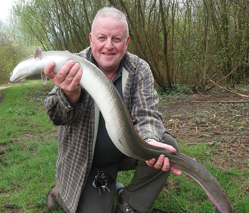 Season's best eel caught! — Angling Times