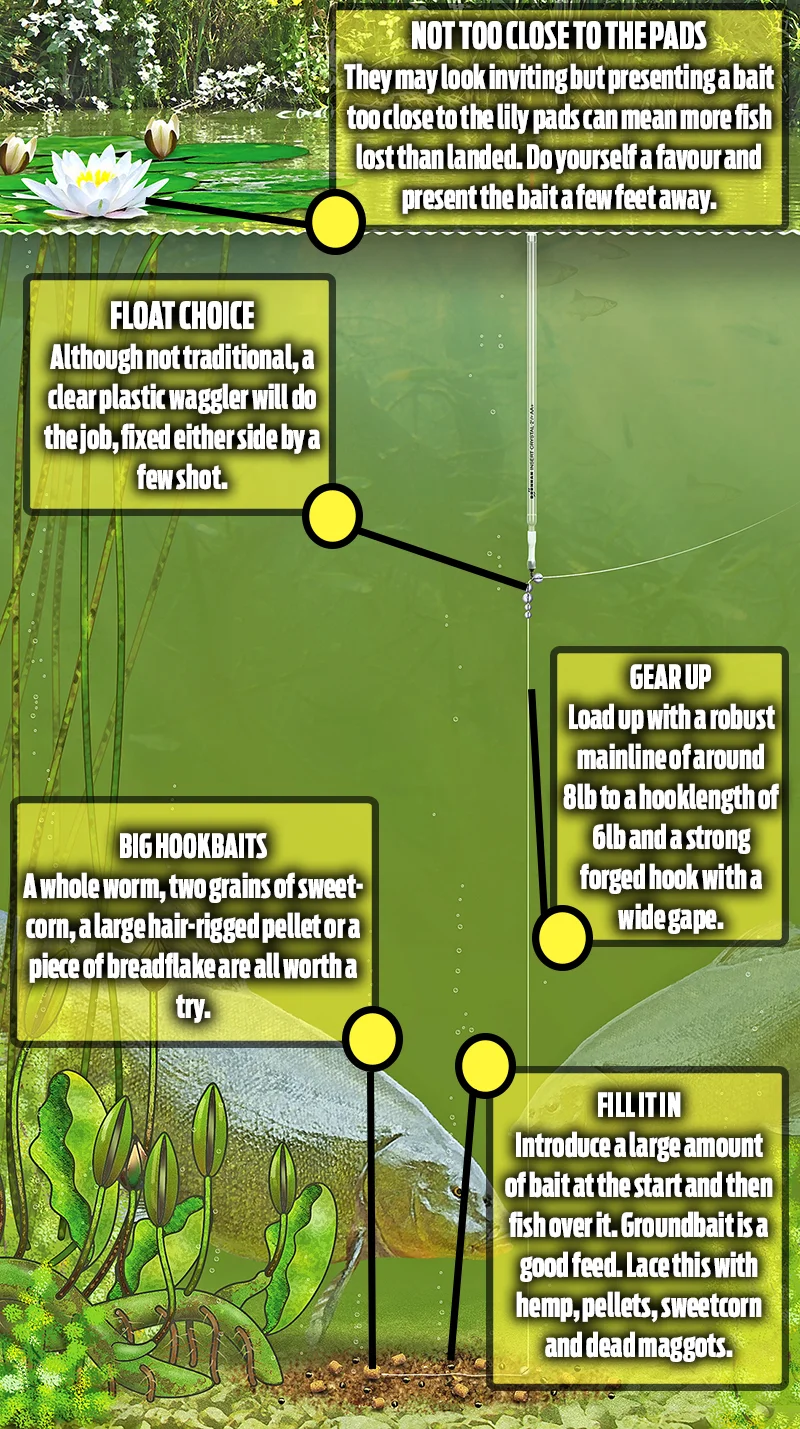 Tench waggler.jpg