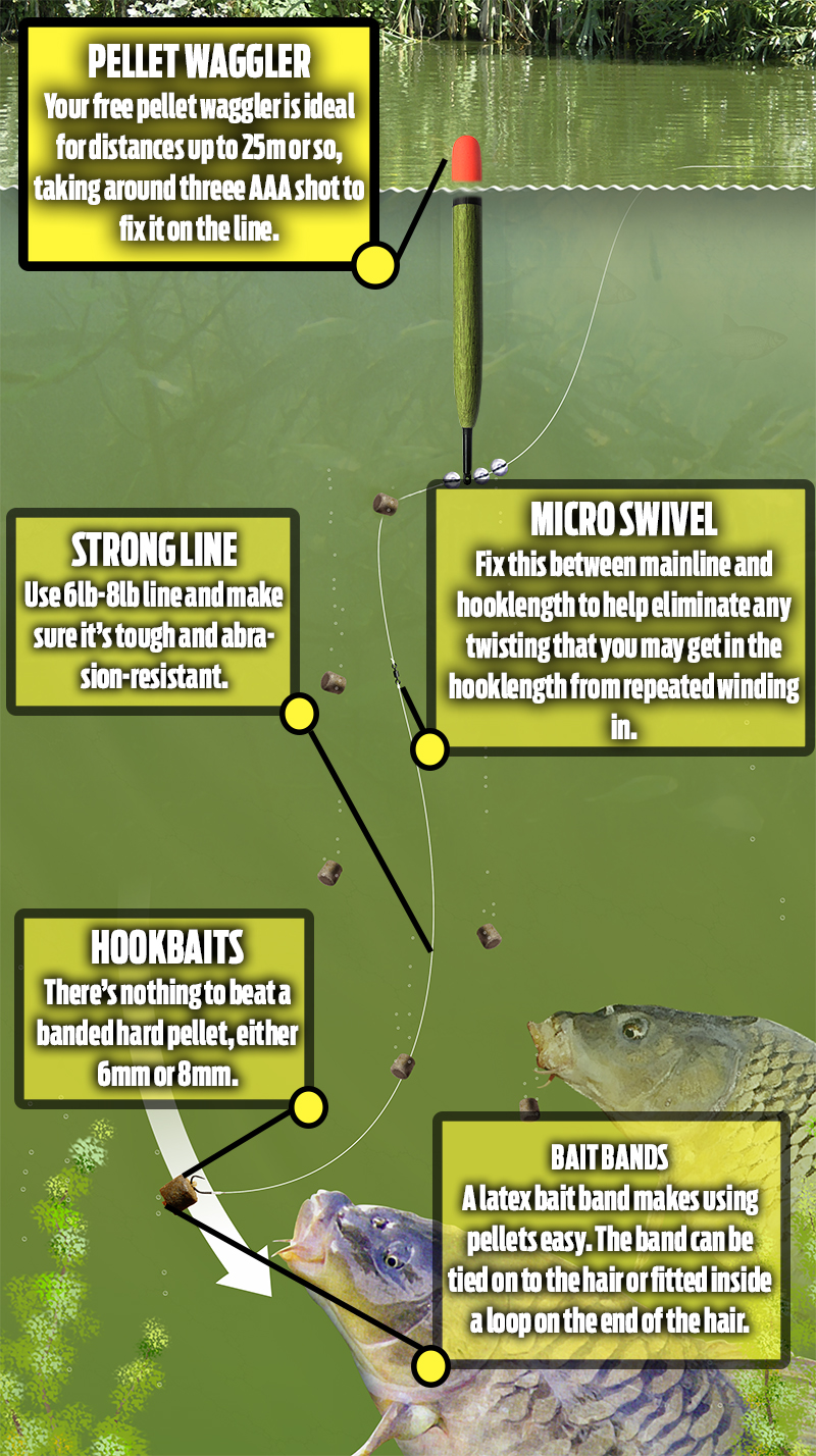 Three pellet waggler rigs to fish this weekend! — Angling Times